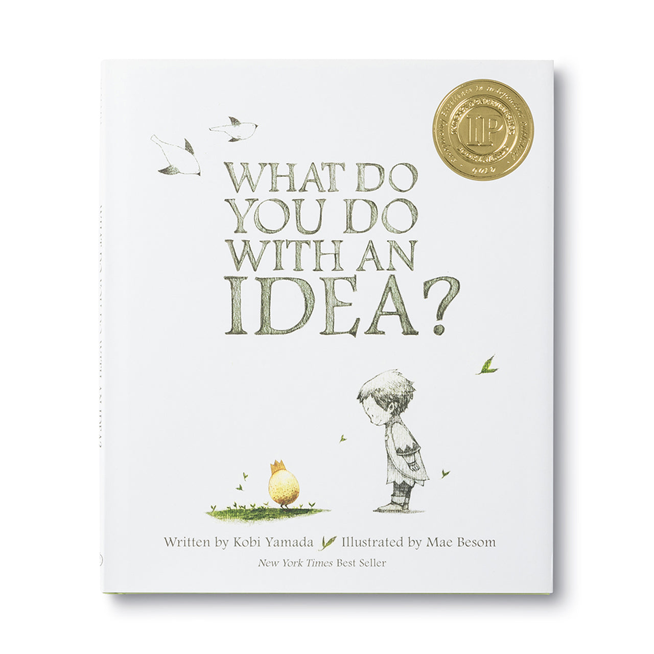 What To Do With An Idea? - Book