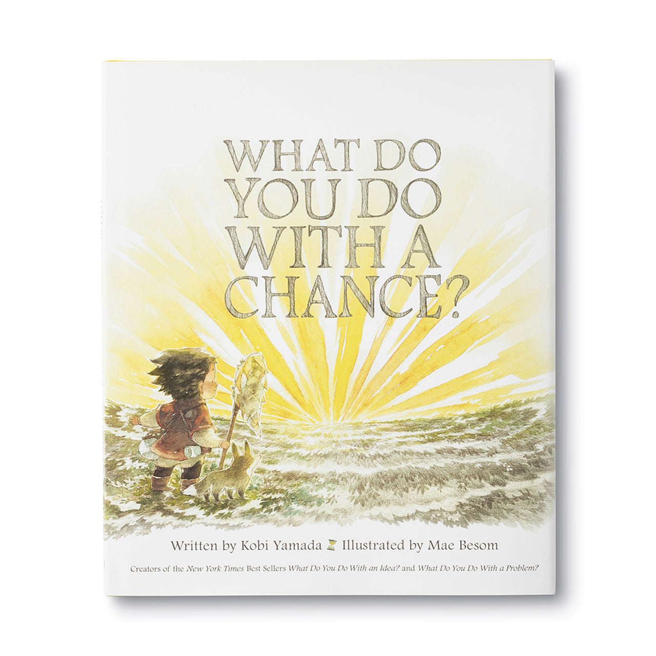 What To Do With A Chance? - Book