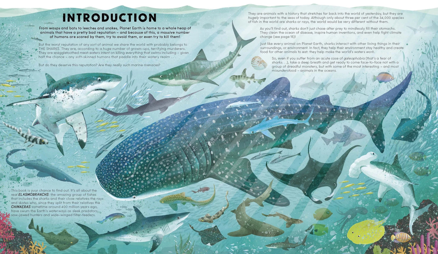 Everything You Know About Sharks is Wrong! by Dr Nick Crumpton - Book