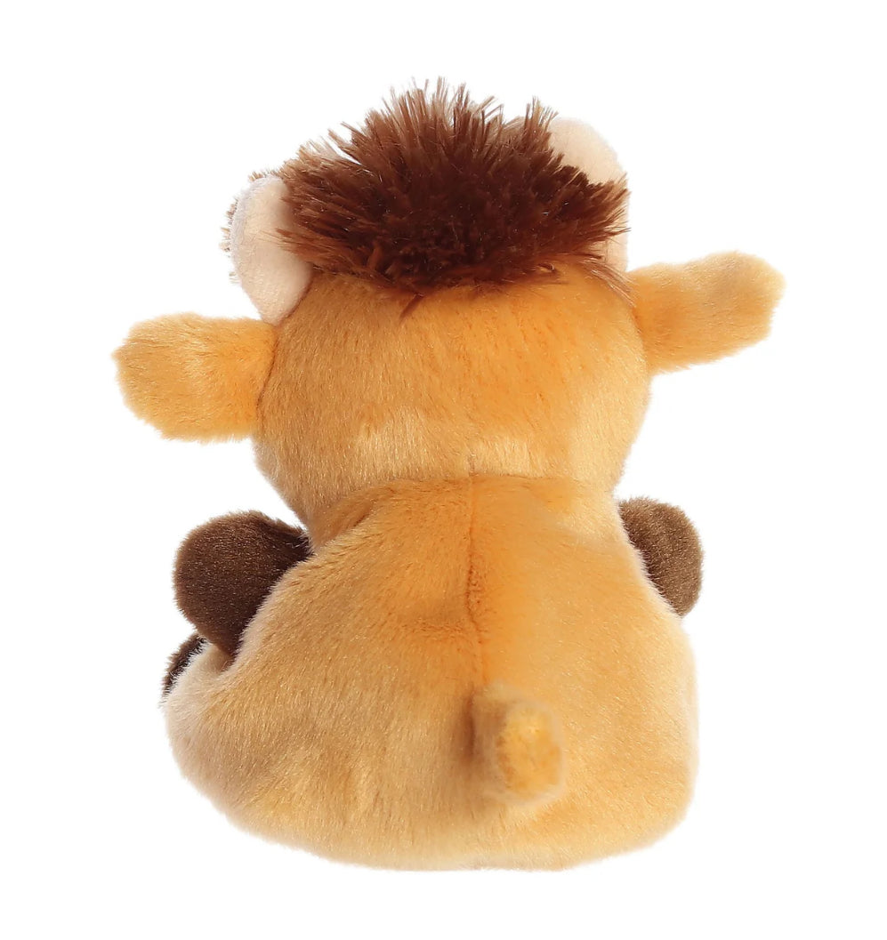 Hubert Highland Cow
