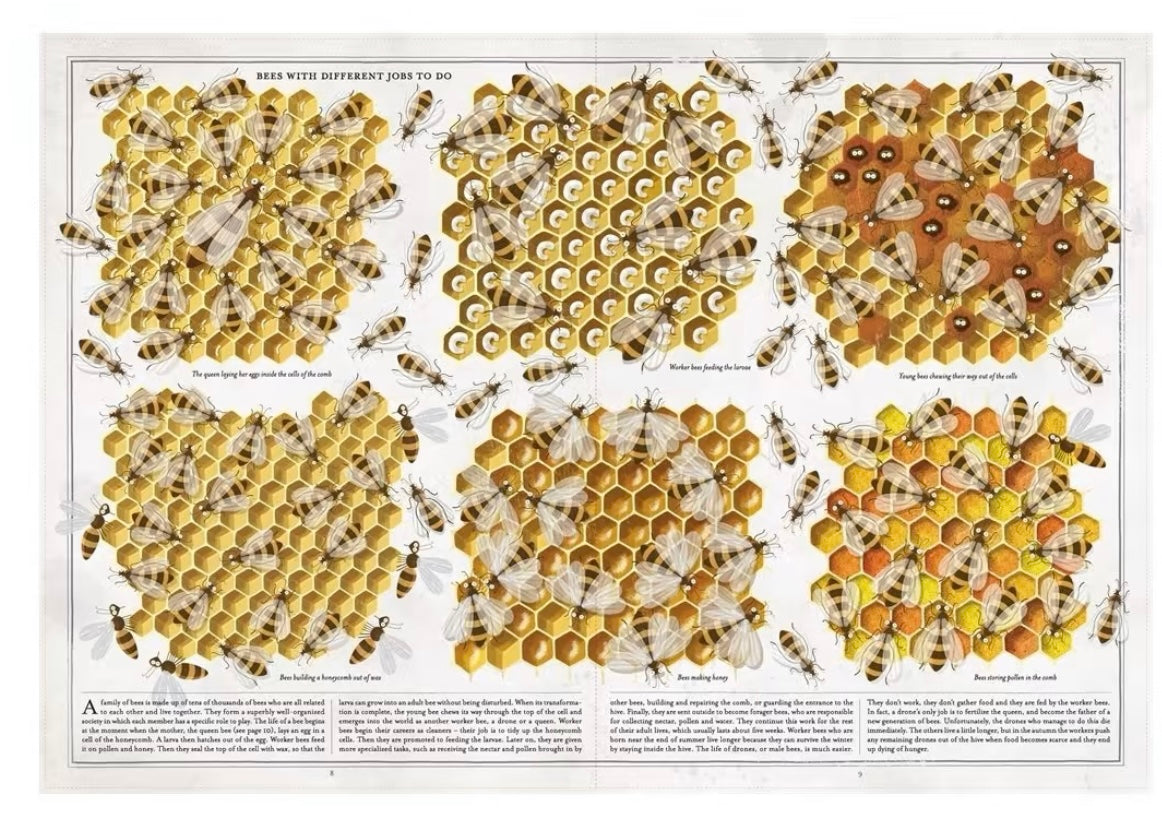 The Book of Bees by Piotr Socha