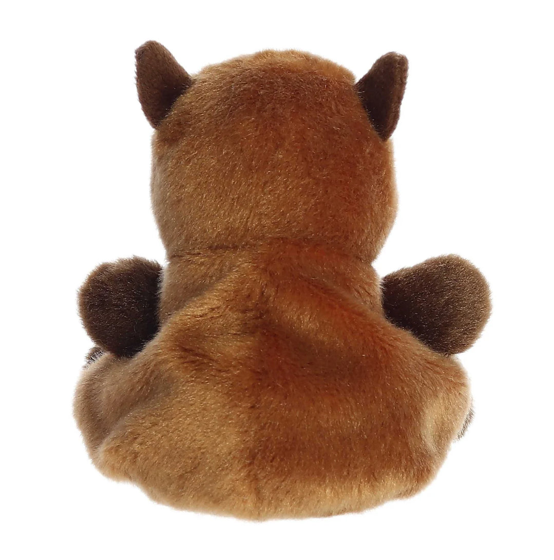 Sid Capybara