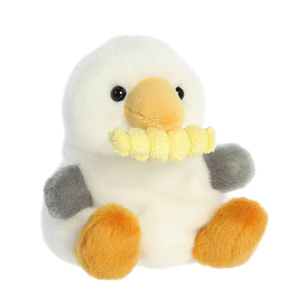 Bouy Seagull