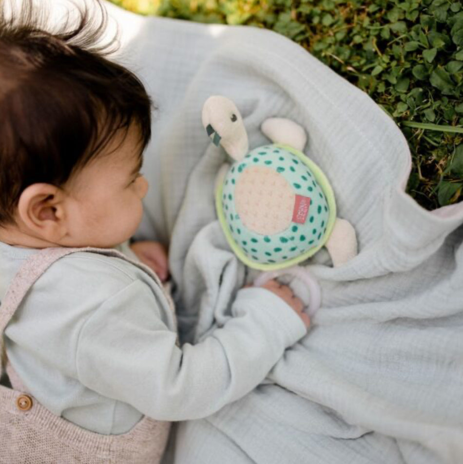 Fehn Mini Musical Turtle