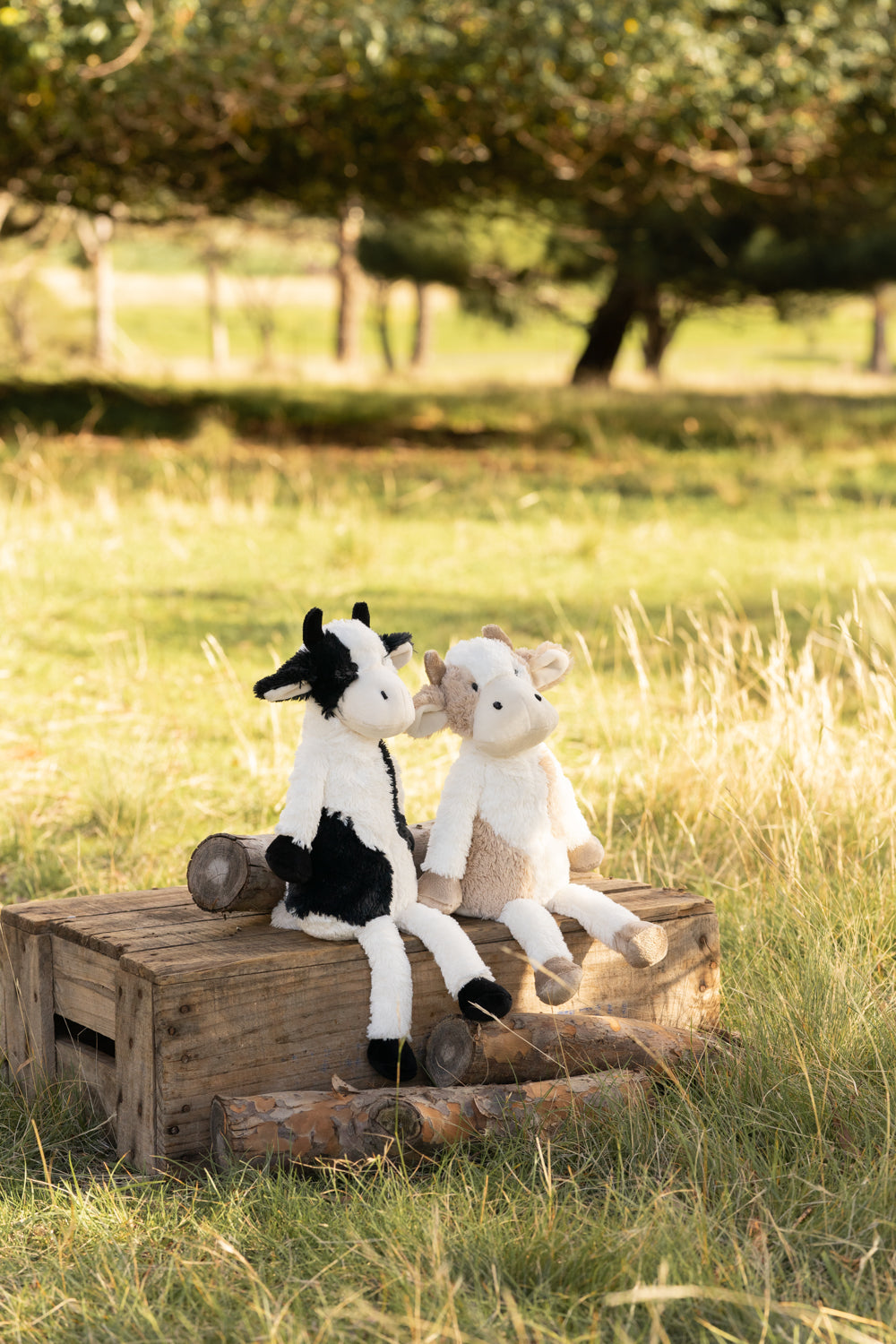 Clover the Cow