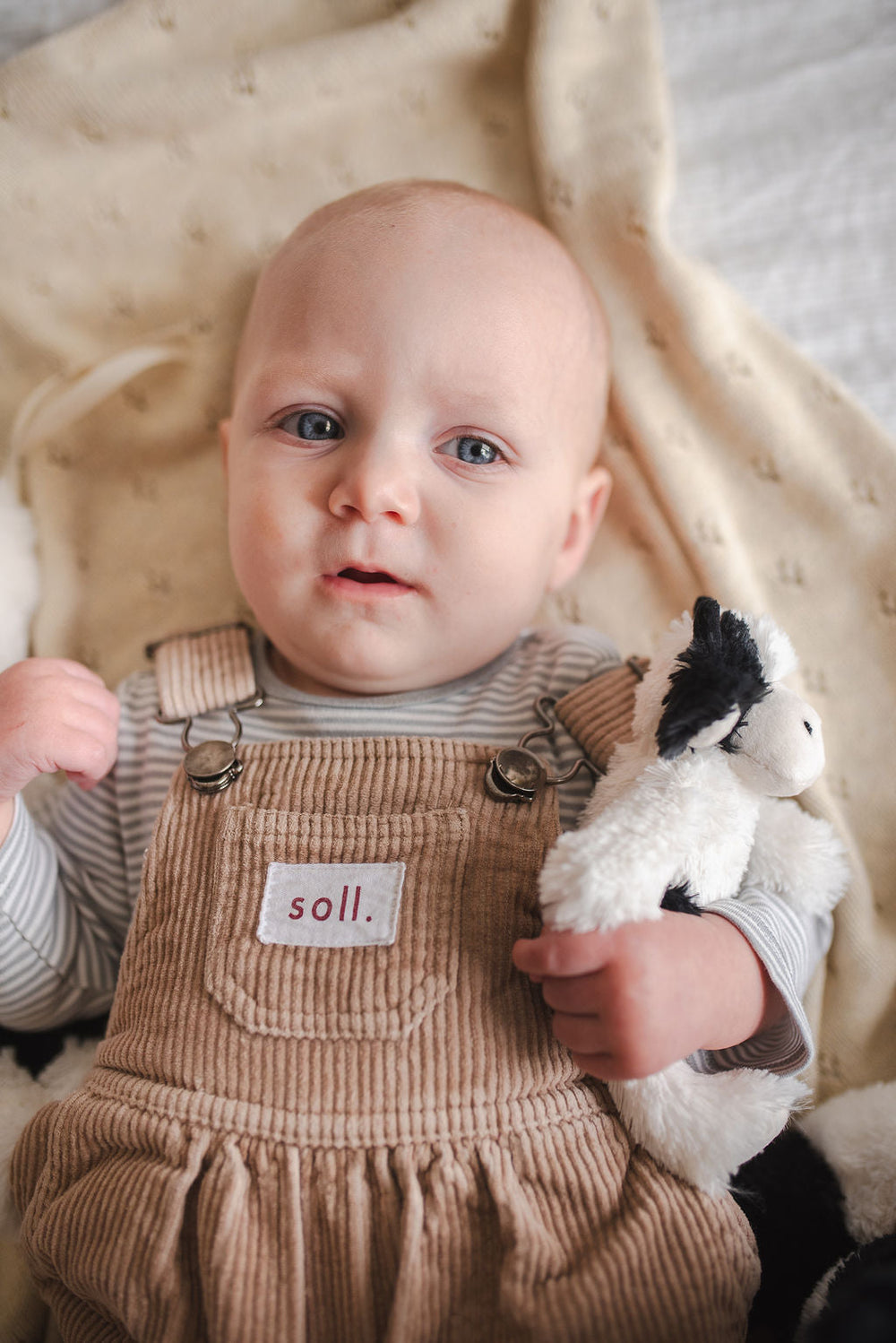 Mini Clover the Cow Rattle