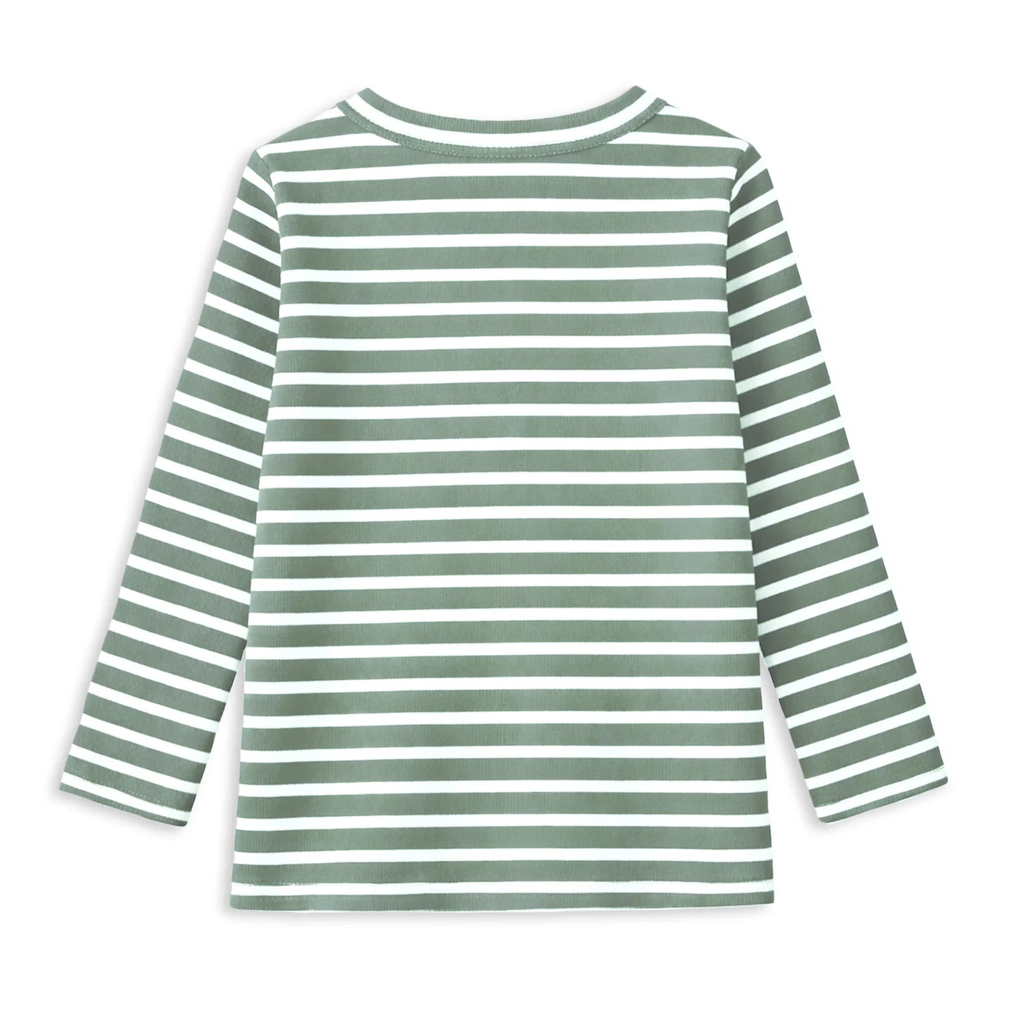 Fern Stripe Henley