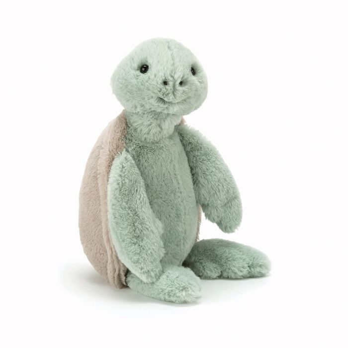 Bashful Turtle - Medium