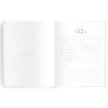 Baby Book Coffee Stripe