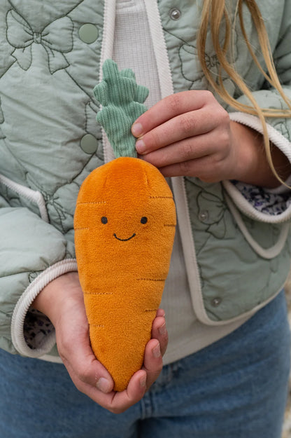 Curtis Carrot - The Caring Friend