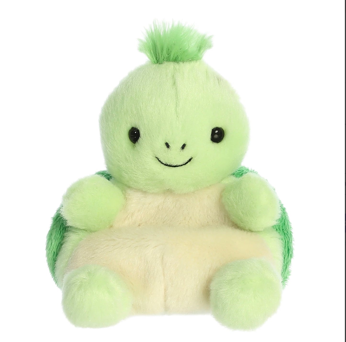 Tiny Turtle