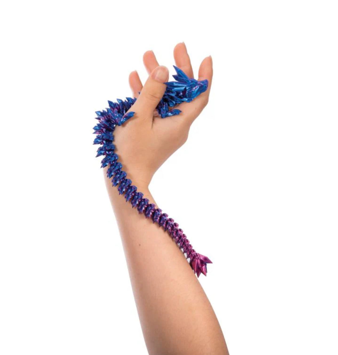 3D Sensory Dragon