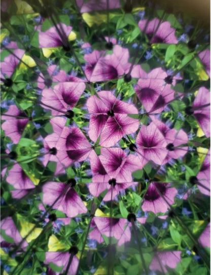 Great Outdoors Kaleidoscope