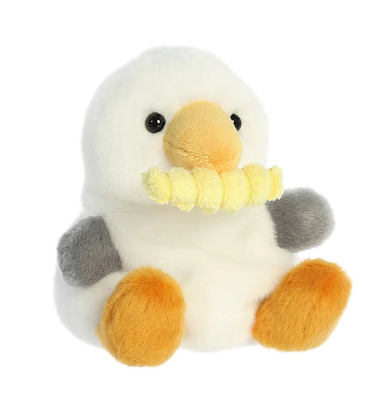 Bouy Seagull
