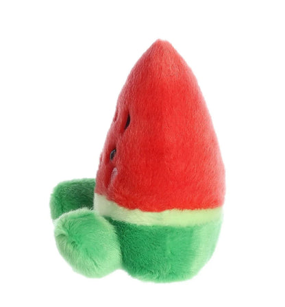 Sandy Watermelon