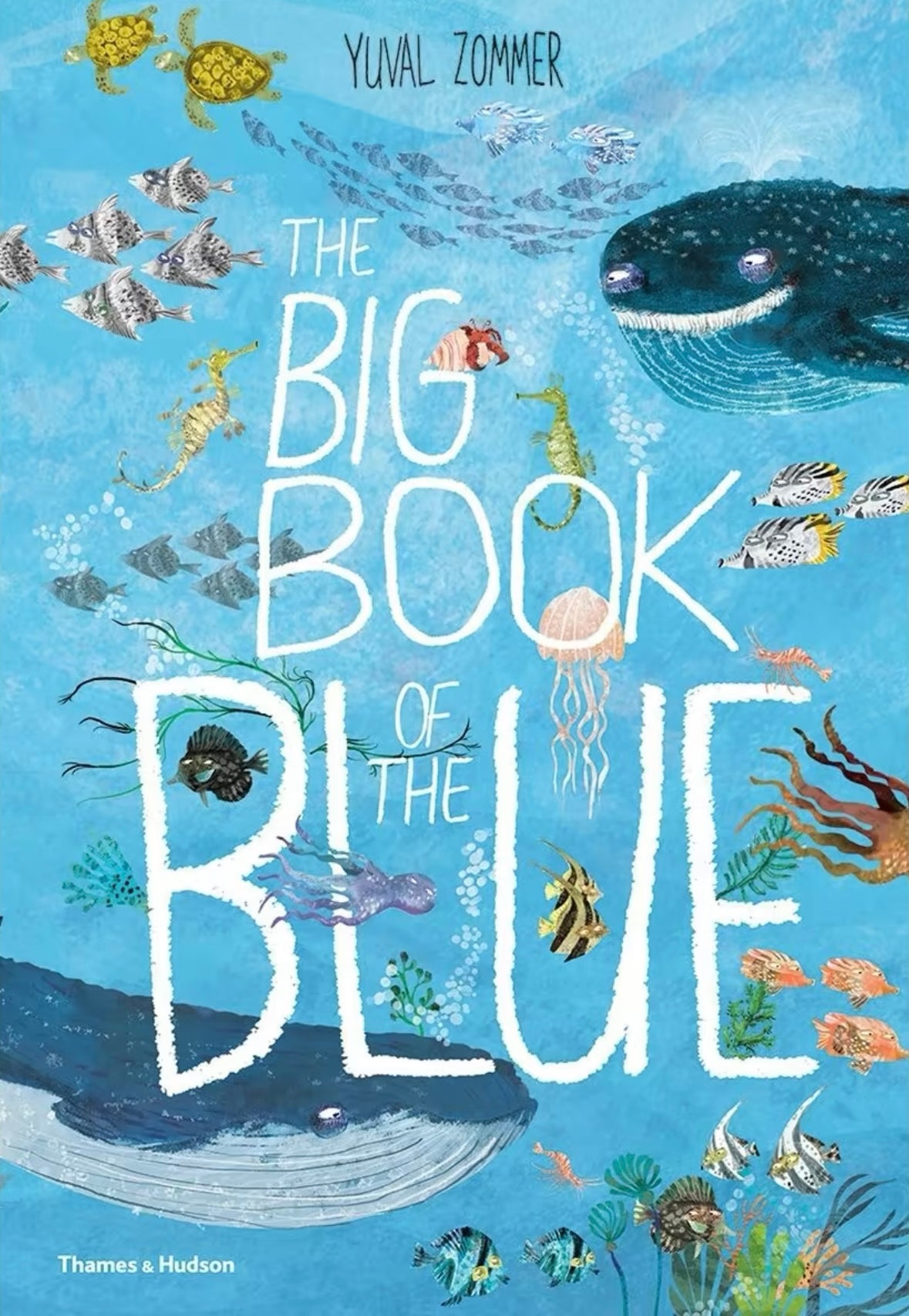 The Big Book of the Blue by Yuval Zommer - Book