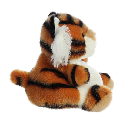 Indy Tiger