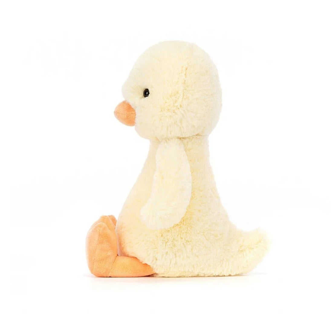 Bashful Duckling