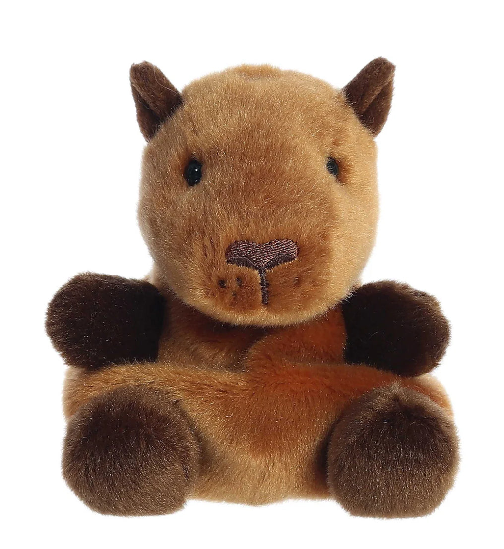 Sid Capybara