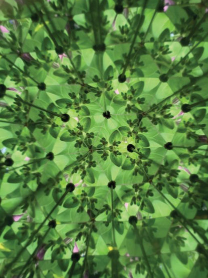 Great Outdoors Kaleidoscope