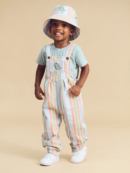 Vintage Stripe Overall