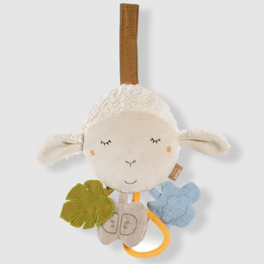 Activity Sheep