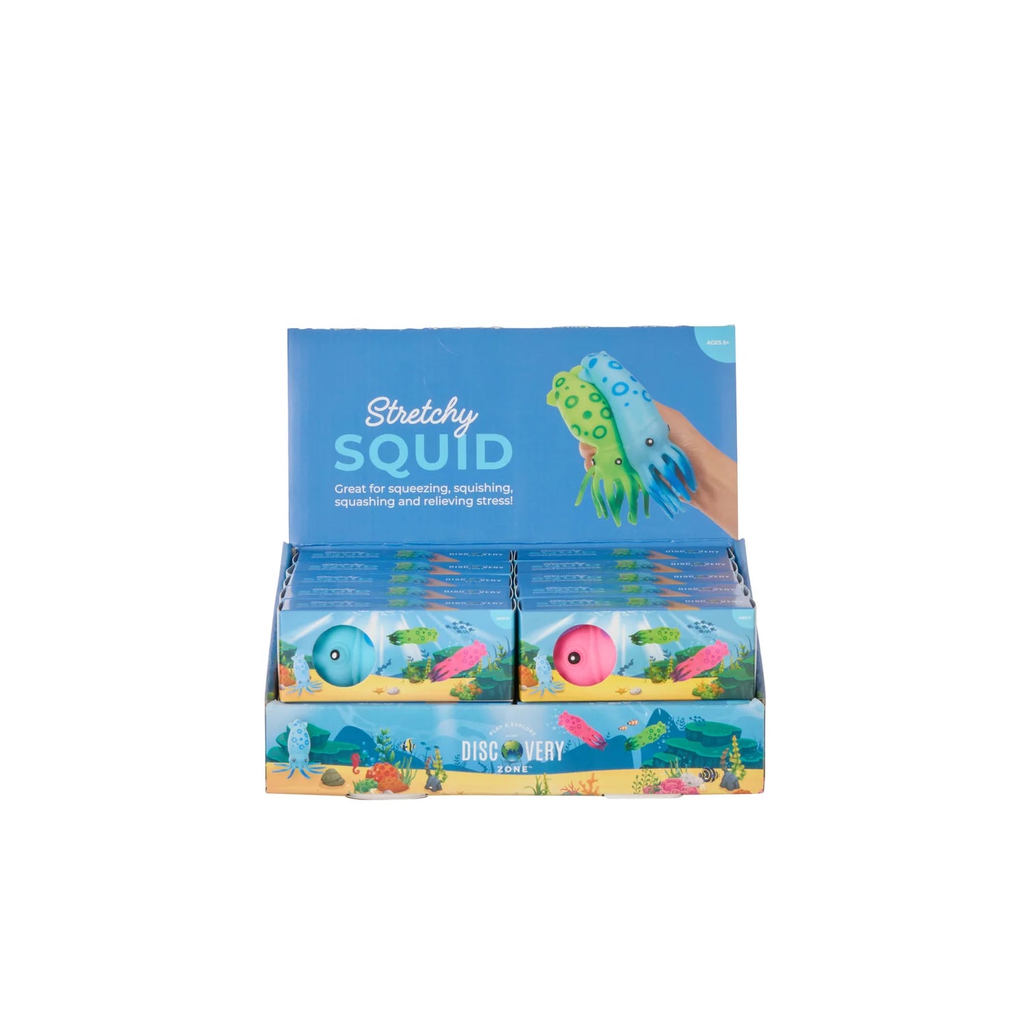 Stretchy Squid