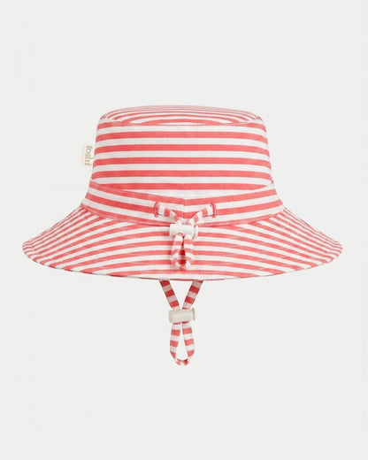 Sunhat Nautilus Lobster