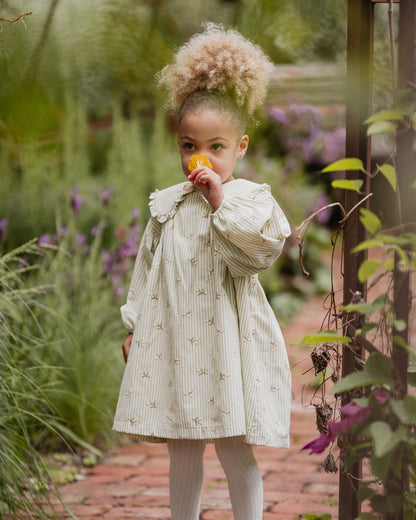 Orchard Bloom Embroidered Stripe Dress