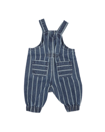 Wild Side Stripe Denim Overalls
