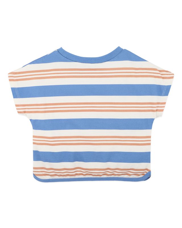 Phoenix Stripe Tee