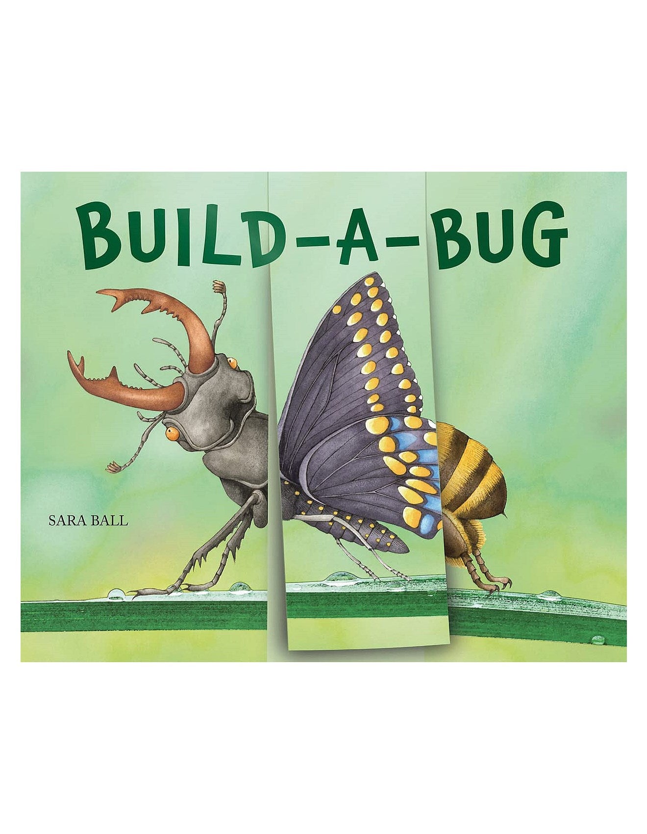 Build-A-Bug