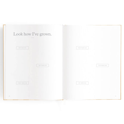 Baby Book Coffee Stripe