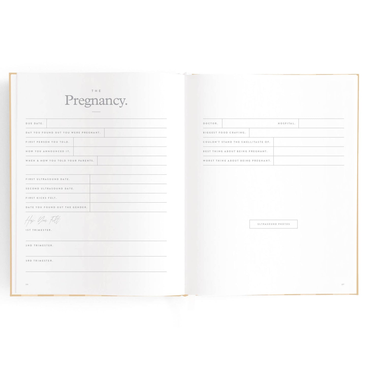Baby Book Coffee Stripe