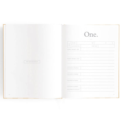 Baby Book Coffee Stripe