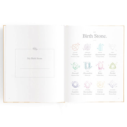 Baby Book Coffee Stripe