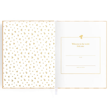 Baby Book Coffee Stripe