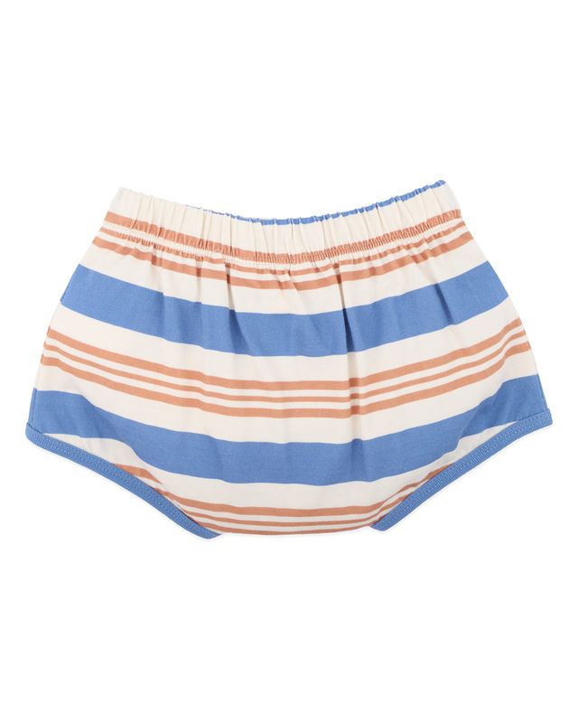 Phoenix Stripe Shorts