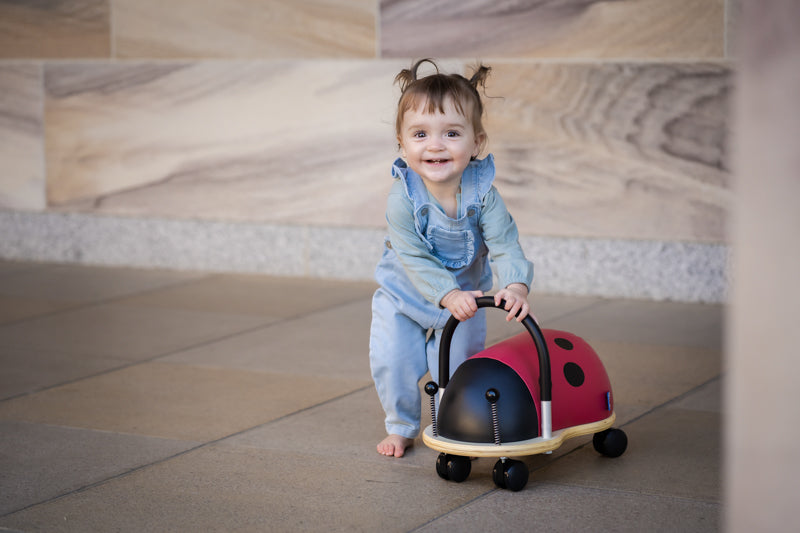 Small Ladybug Wheely Bug