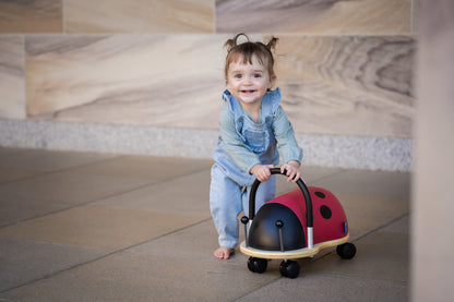 Small Ladybug Wheely Bug