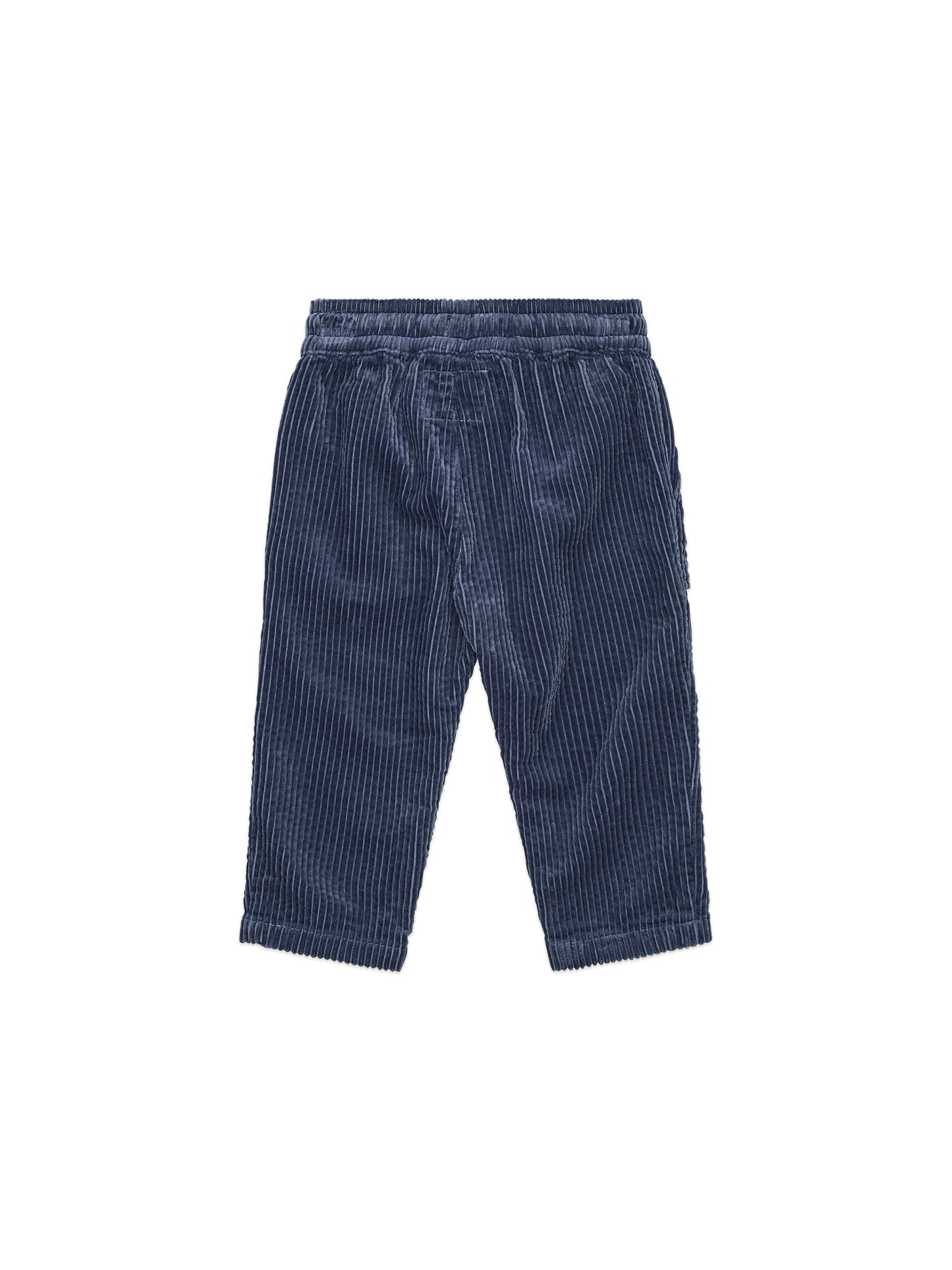 Midnight Cord Pant