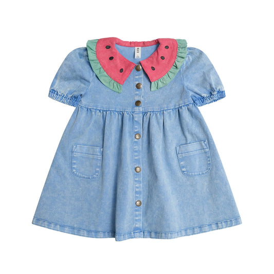 I Carried A Watermelon Denim Dress