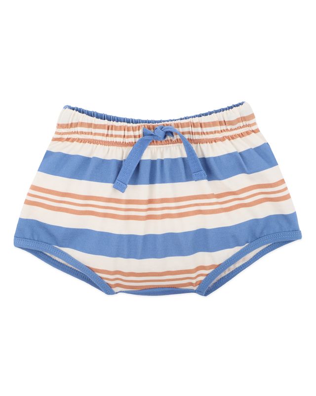 Phoenix Stripe Shorts